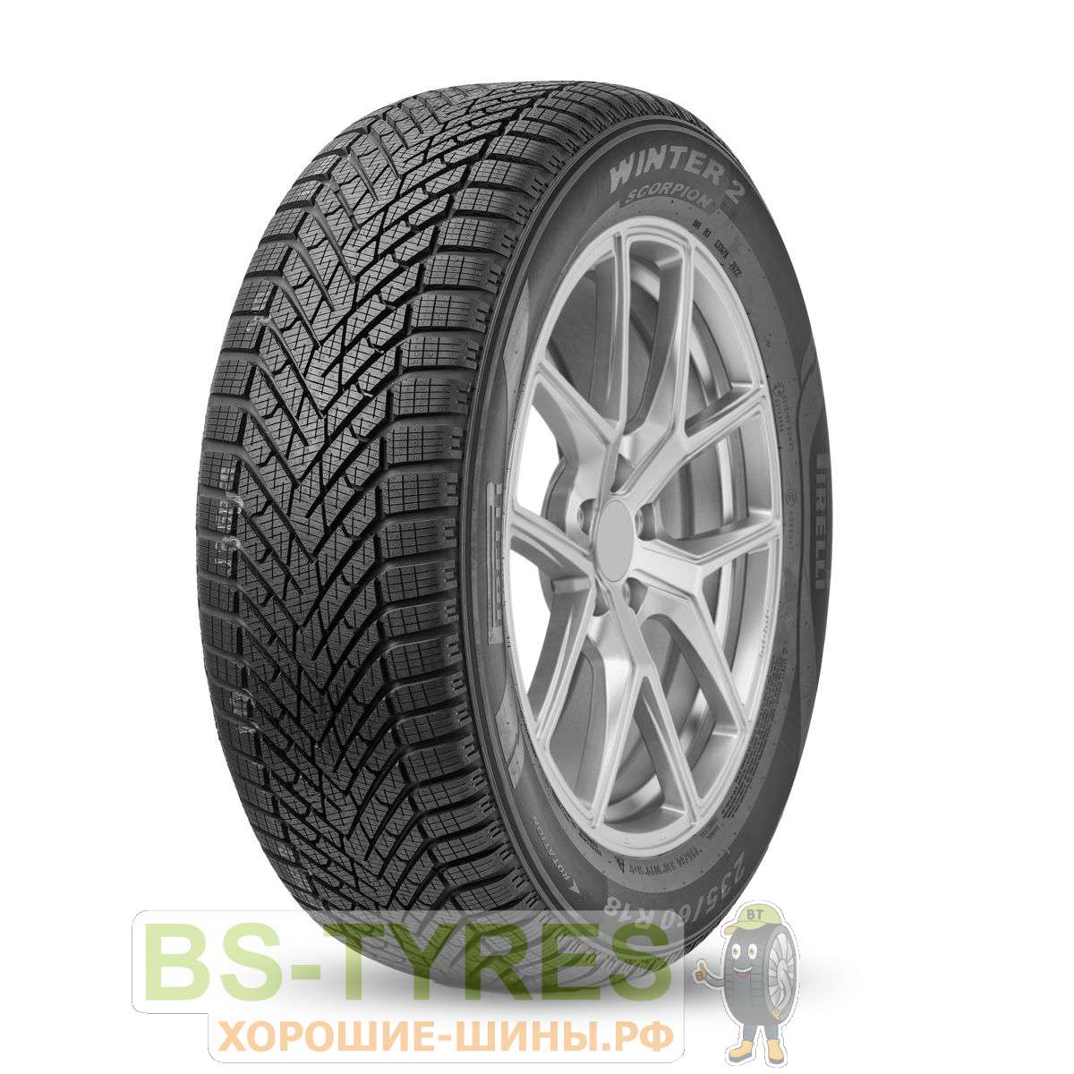 Scorpion Winter 2 NCS