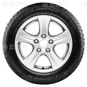 Weather Master Ice 100