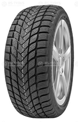 Delinte Winter WD6 215/50 R17 95H