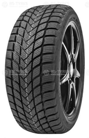 Delinte Winter WD6 215/50 R17 95H