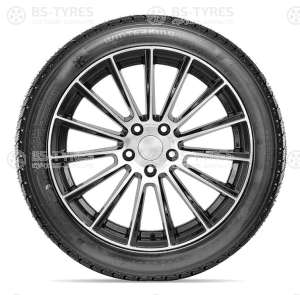 Doublestar DW02 245/65 R17 107S