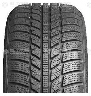 Evergreen Winter EW62 175/70 R14 88T