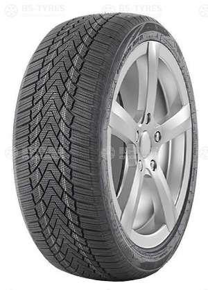FronWay Icemaster I 205/55 R17 95H