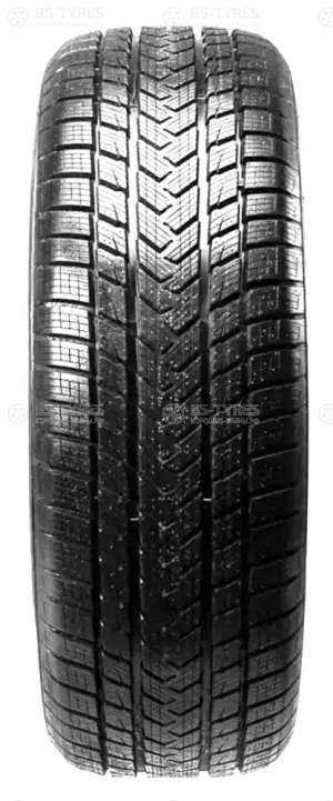 Gripmax Status Pro Winter 225/40 R18 92V
