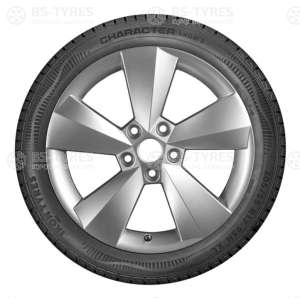 Ikon (Nokian Tyres) Character Snow 2 (Nordman RS2) 155/65 R14 75R