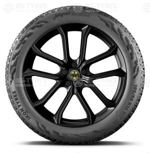 Ikon (Nokian Tyres) Autograph Snow 5 SUV 255/50 R20 109R