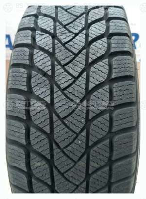 Landsail Winter Lander 185/65 R15 88T