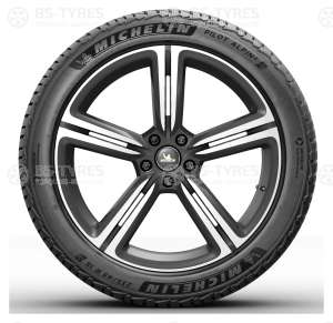 Michelin Pilot Alpin 5 MO 205/55 R17 91H
