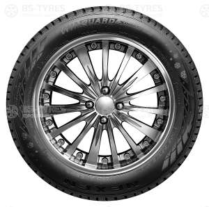 Nexen Winguard Snow G WH2 215/65 R16 98H