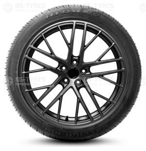Rydanz Raleigh R06 225/55 R19 99Y