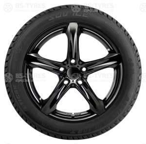Tigar Ice SUV 215/65 R17 103T